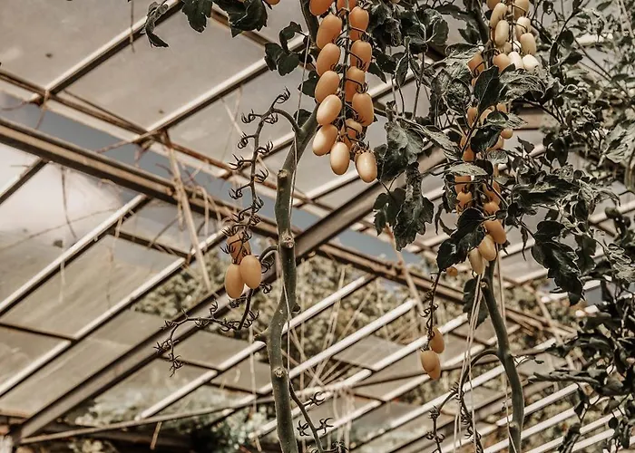 بيت ضيافة Residenza Genua بورديغيرا